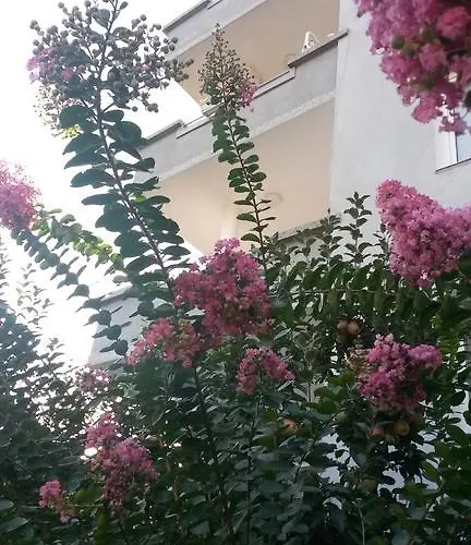 Affittacamere Family 